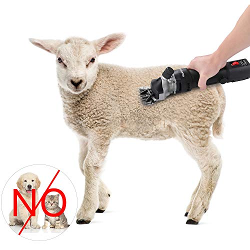 yaufey 380W Cheveux Tondeuse Mouton Chèvre électrique Professionnelle Cisaillement Animal Tondeuse Fournitures De Bureau Kit, Cisailles de Clippers Animaux Shave Toilettage Ferme Pet Supplies élevage – Image 4