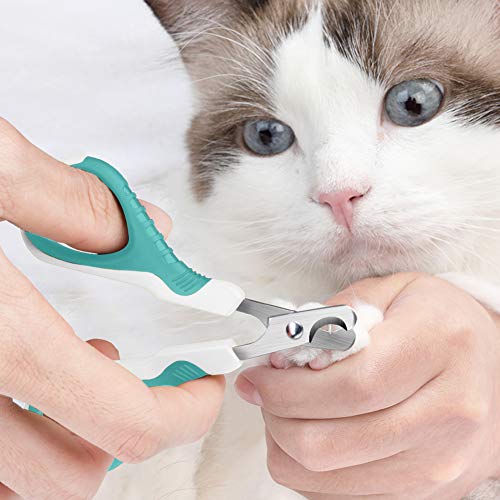 Tarnel Ciseaux A Ongles Professionnels Pour Chat Lapins Et Petits Animaux Tondeuses A Griffes De Chat Ciseaux Acier Inoxydable Courbe Ciseaux Coupe Ongles Chat Uii