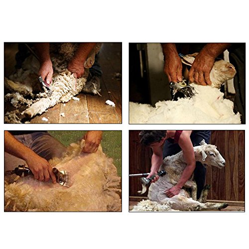 yaufey 380W Cheveux Tondeuse Mouton Chèvre électrique Professionnelle Cisaillement Animal Tondeuse Fournitures De Bureau Kit, Cisailles de Clippers Animaux Shave Toilettage Ferme Pet Supplies élevage – Image 2
