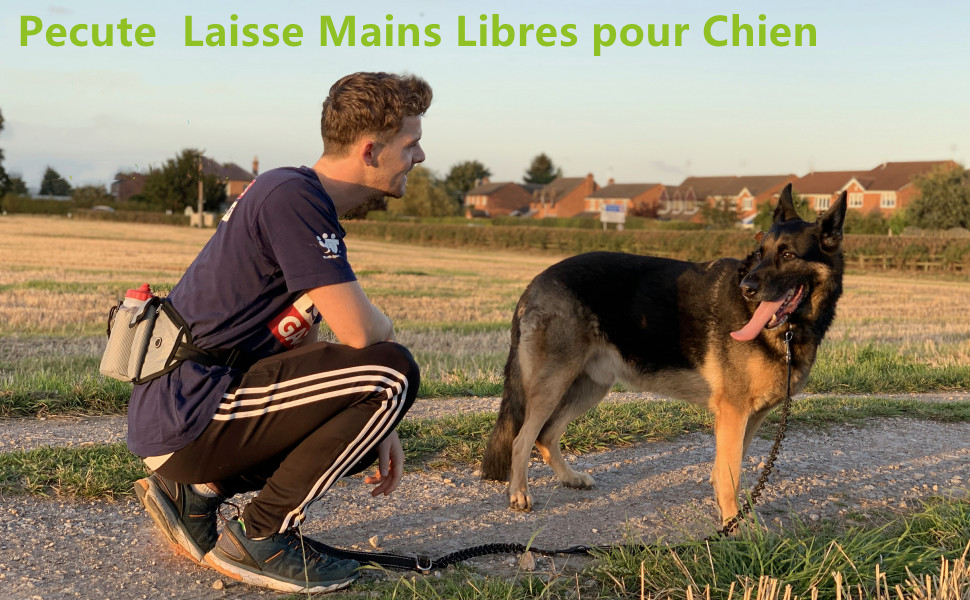 Laisse Chien Laisse Mains Libres Chien