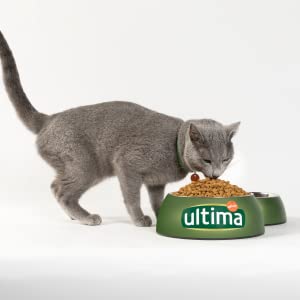 Ultima; Affinity; chat; poulet; stérilisé; adult; dry; agilité; sans colorants; croquettes