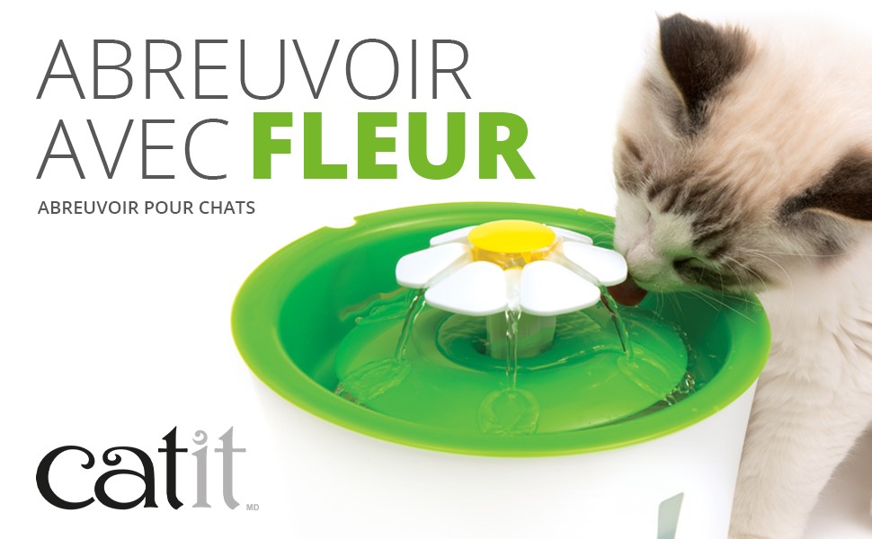 Abreuvoir avec fleur