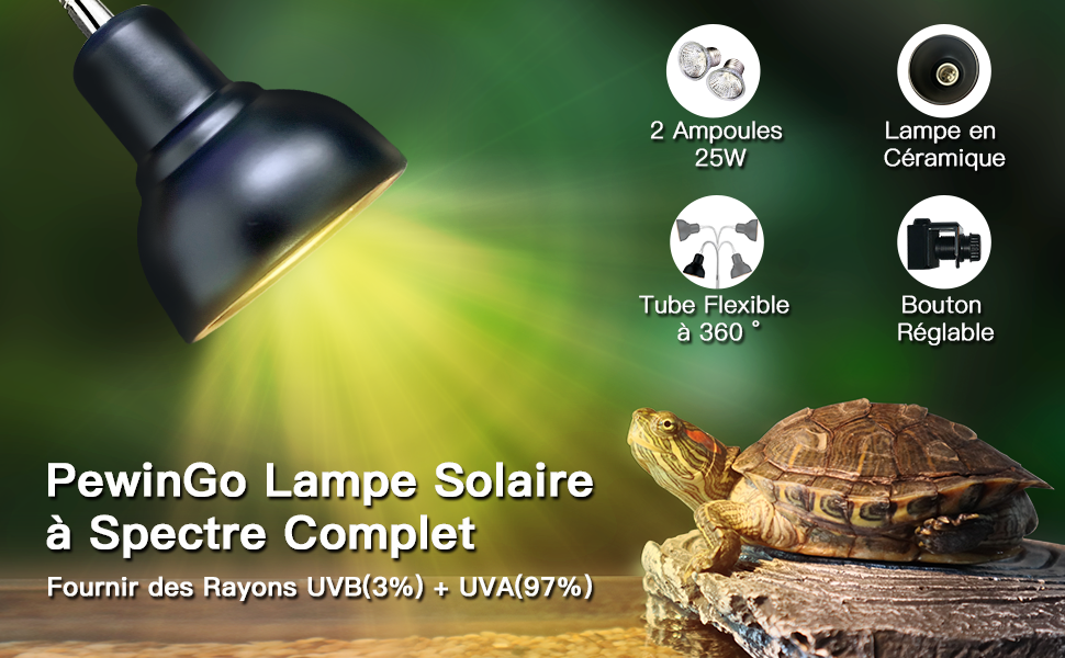 Lampe Chauffante Tortue