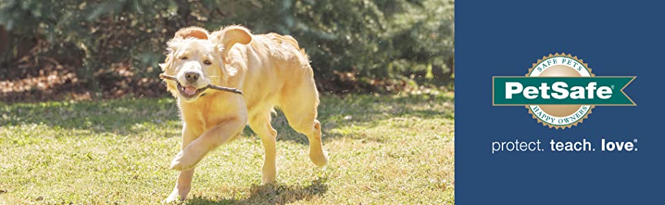 PetSafe chatière en plastique simple pour chien et chat