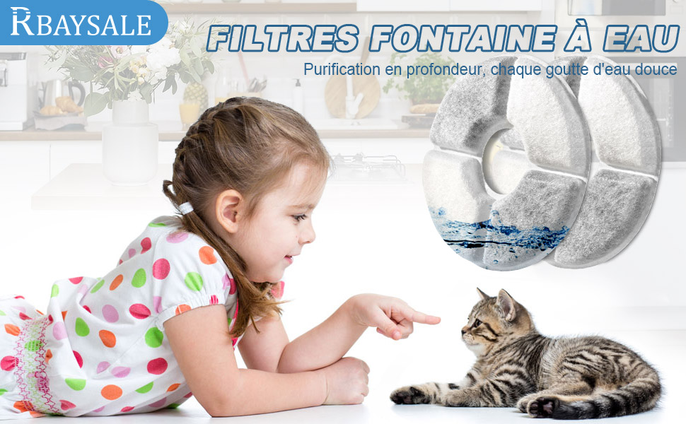 Filtre Fontaine Eau Chat