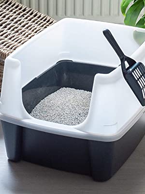 Bac à litière Cat Litter Box