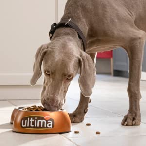 Ultima; Affinity; chein; poulet; adult; dry; agilité; croquettes; medium; maxi; 10 kg; light