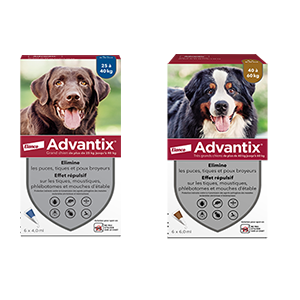 Advantix Grand Chien et Advantix Tres Grand Chien