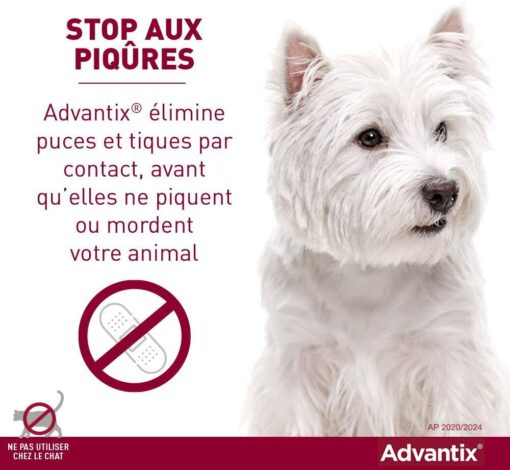 ADVANTIX Très Petit Chien – Anti-Puces et Anti-Tiques – 1.5-4KG – 4 Pipettes – Image 9