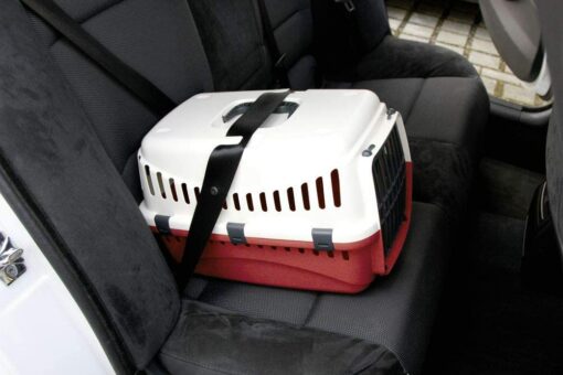 KERBL - 81348 - Cage de Transport Expédition pour petits Chiens et Chats - 45 X 30 X 30 cm - Crème/Bordeaux – Image 2