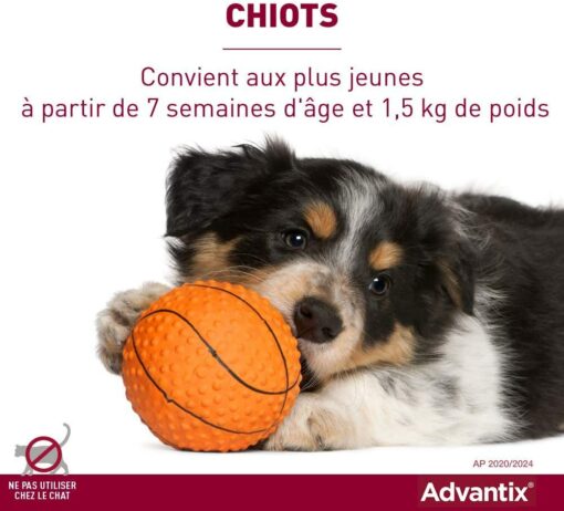 ADVANTIX Très Petit Chien – Anti-Puces et Anti-Tiques – 1.5-4KG – 4 Pipettes – Image 11