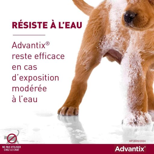 ADVANTIX Très Petit Chien – Anti-Puces et Anti-Tiques – 1.5-4KG – 4 Pipettes – Image 8