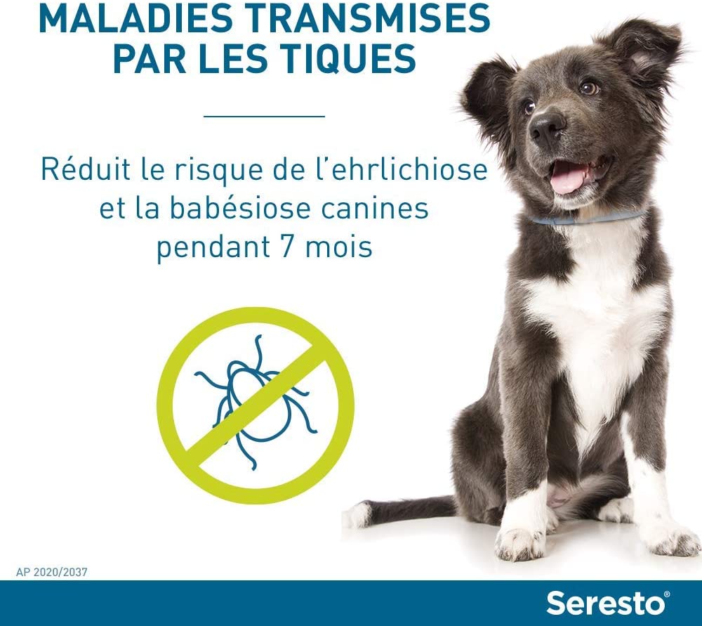 SERESTO Chien – Collier Anti-Puces et Anti-Tiques pour Grands Chiens - 8KG Et Plus – Image 15