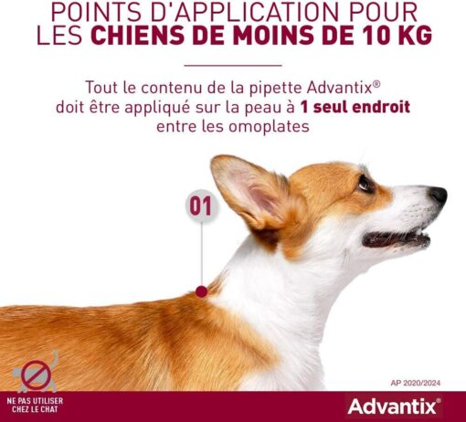 ADVANTIX Très Petit Chien – Anti-Puces et Anti-Tiques – 1.5-4KG – 4 Pipettes – Image 4