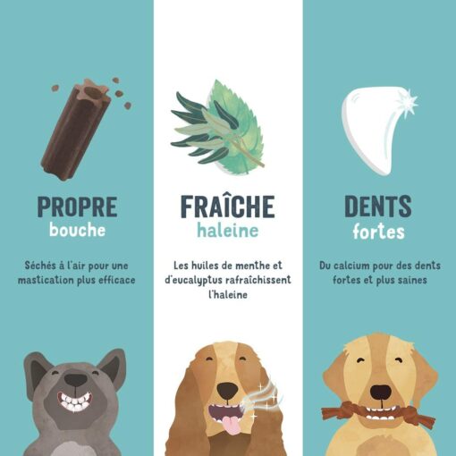 Edgard & Cooper Soin hygiène Dentaire Dental Sticks Grand Chien Adulte Naturel Eucalyptus & Pomme 7 bâtonnets, Un par Jour, Fa – Image 4