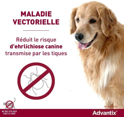 ADVANTIX Très Petit Chien – Anti-Puces et Anti-Tiques – 1.5-4KG – 4 Pipettes – Image 6