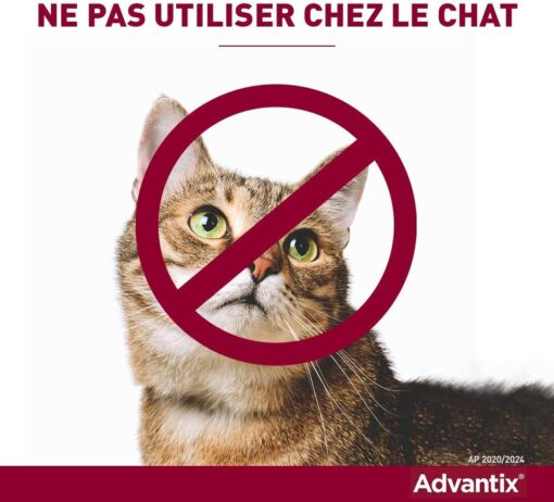 ADVANTIX Très Petit Chien – Anti-Puces et Anti-Tiques – 1.5-4KG – 4 Pipettes – Image 12