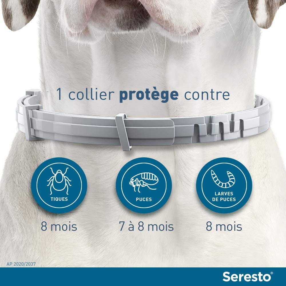SERESTO Chien – Collier Anti-Puces et Anti-Tiques pour Grands Chiens - 8KG Et Plus – Image 2