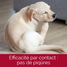 efficacité par contact