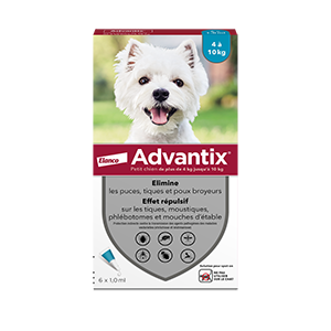 Advantix Petit Chien