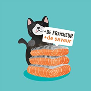 chat viande fraiche sans farine de viande sans cereale sans ogm sans gluten sans colorant