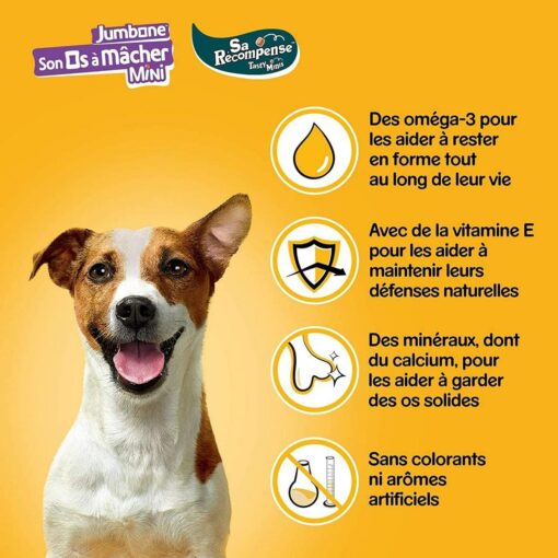 PEDIGREE Méga Box - Mix de Récompenses pour chien avec des Rodéo Duos et Son Os à Mâcher, 780 g de friandises – Image 3