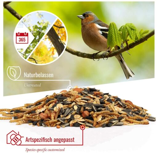 Rêve d'Oiseau - Vitalmix - Nourriture pour Oiseaux de Qualité Supérieure I Graines pour Oiseaux Sauvages I Extra Protéinée – Image 2