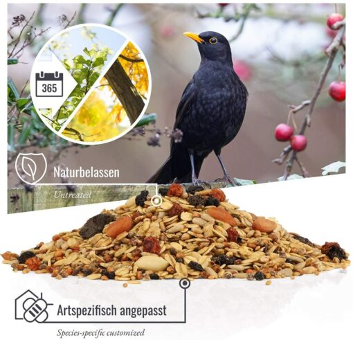 Rêve d'Oiseau - Nourriture pour Merle - Special avec Baies et Fruits I Graines pour Oiseaux Sauvages Exterieur de Première Qua – Image 2