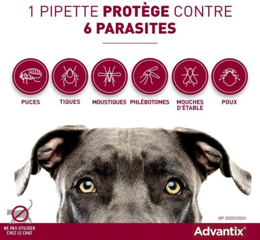 ADVANTIX Très Petit Chien – Anti-Puces et Anti-Tiques – 1.5-4KG – 4 Pipettes – Image 2