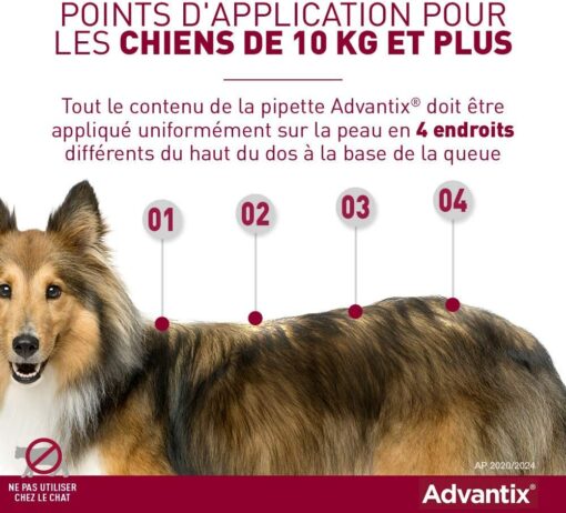 ADVANTIX Très Petit Chien – Anti-Puces et Anti-Tiques – 1.5-4KG – 4 Pipettes – Image 14