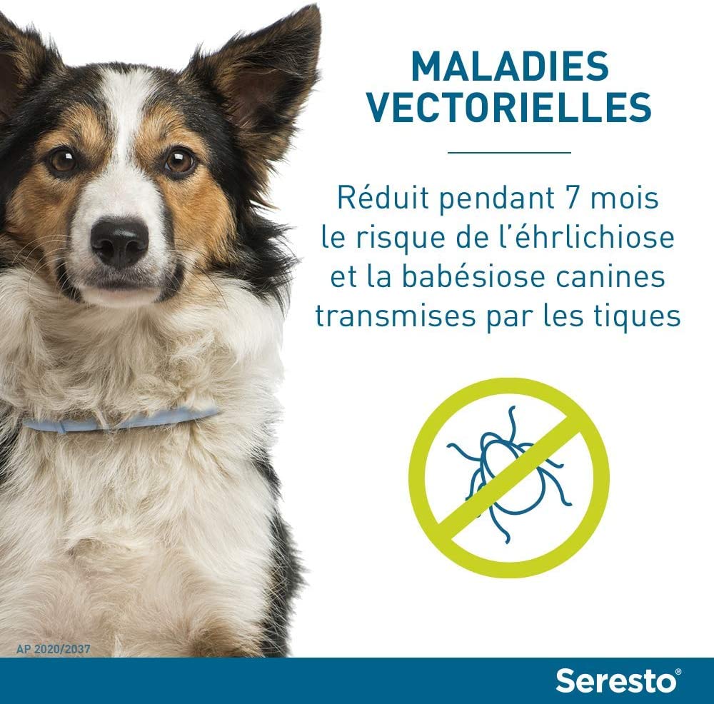 SERESTO Chien – Collier Anti-Puces et Anti-Tiques pour Grands Chiens - 8KG Et Plus – Image 11
