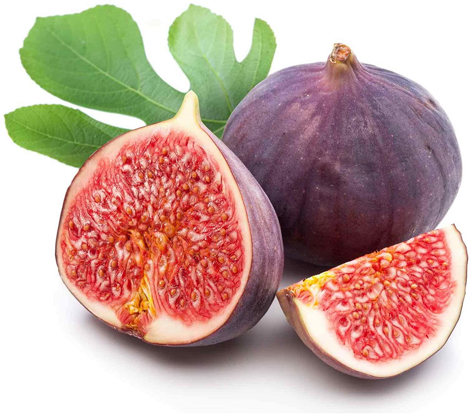 Le Petit Marseillais Gel Douche Extra Doux Pêche Blanche Nectarine (Lot de 12X250ML) – Image 31