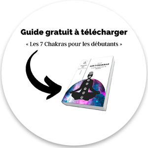 Guide à télécharger : les 7 chakras pour les débutants 