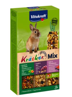 Lapin nains/rongeurs/Kracker/snack/graine/vitalité/santé/qualité/plaisir