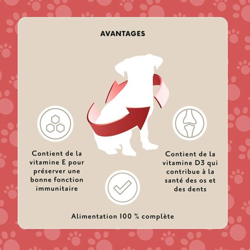 Marque Amazon- Lifelong Aliment complet pour chiens adultes- Sélection à la viande en sauce, 1.2 kg (12 sachets x 100g) – Image 14