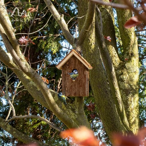 Gardigo - Nichoir à Oiseaux, Maison, Nid pour Oiseaux, Moineau, Mésanges en Bois, Extérieur, Décoration Jardin, Terrasse ou – Image 3