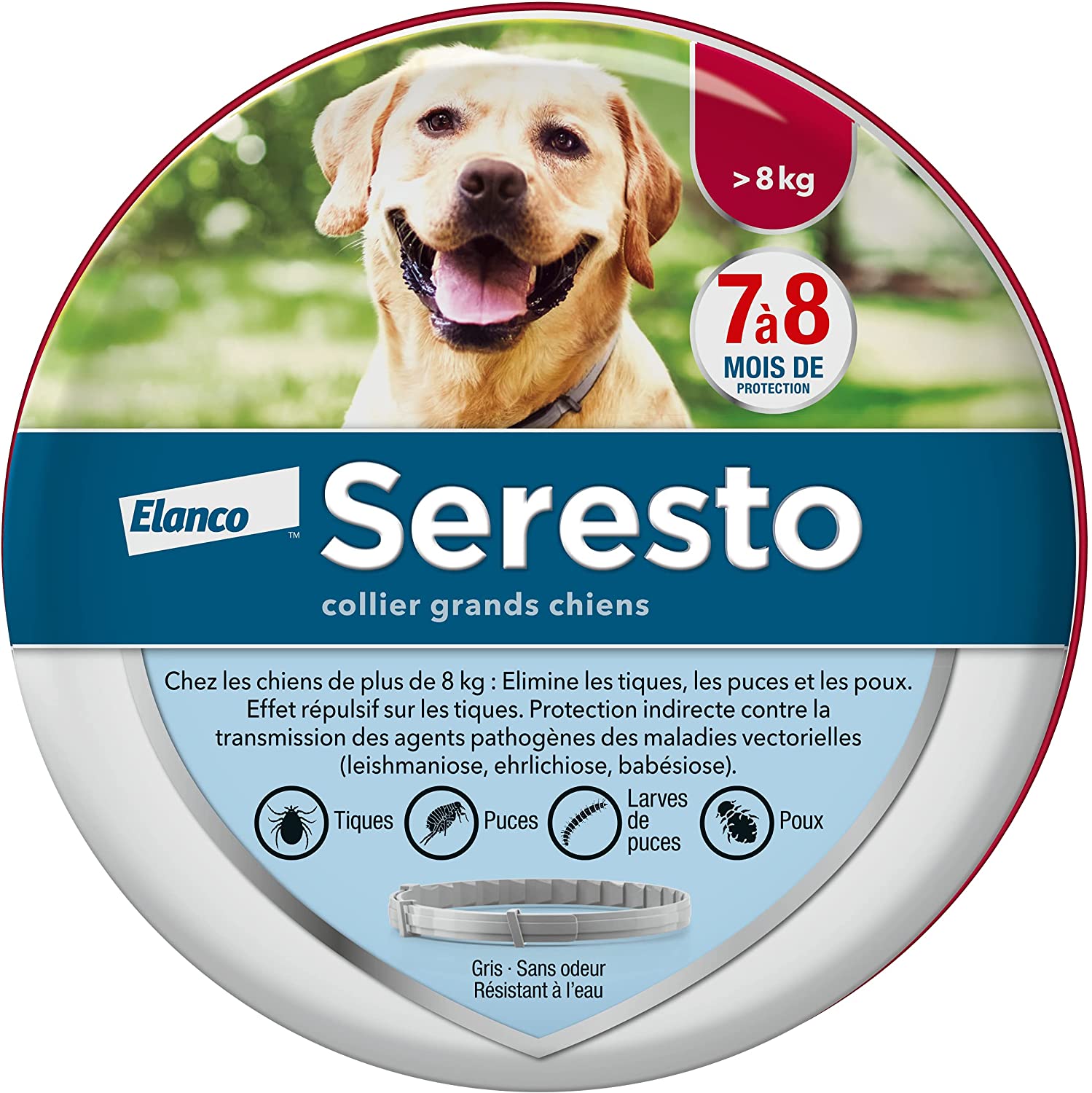 SERESTO Chien – Collier Anti-Puces et Anti-Tiques pour Grands Chiens - 8KG Et Plus