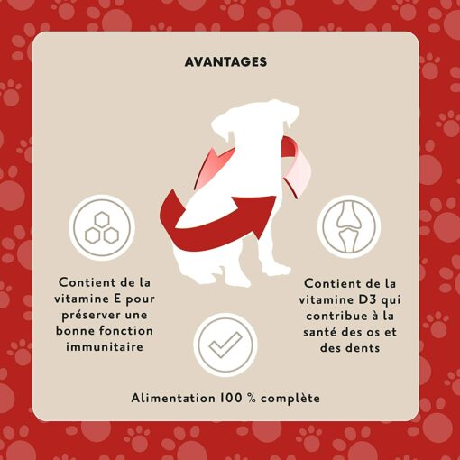 Marque Amazon- Lifelong Aliment complet pour chiens adultes- Sélection à la viande en sauce, 1.2 kg (12 sachets x 100g) – Image 6