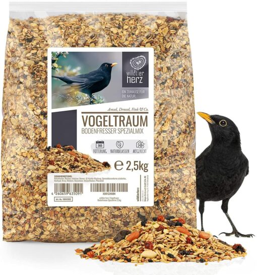 Rêve d'Oiseau - Nourriture pour Merle - Special avec Baies et Fruits I Graines pour Oiseaux Sauvages Exterieur de Première Qua