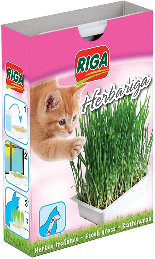 Riga Herbariga Herbe à Chat – Image 3