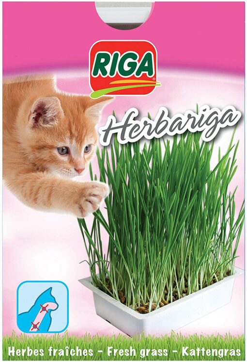 Riga Herbariga Herbe à Chat – Image 8