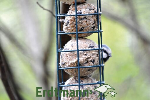 Erdtmanns Seau 35 Boules de Graisse sans Filets pour Oiseaux – Image 15