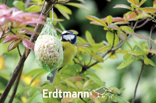 Erdtmanns Seau Boules de Graisse pour Oiseaux 35 Pièces – Image 3