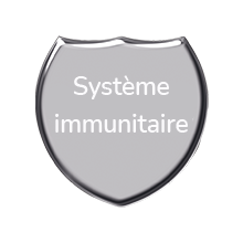 Bouclier Système immunitaire