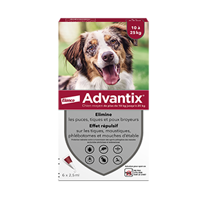 Advantix Chien Moyen