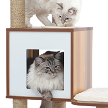 Cachettes douillettes pour chats