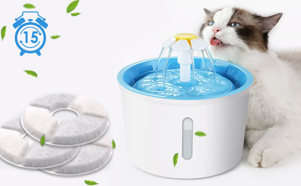 Filtre Fontaine Eau Chat