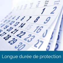 calendrier