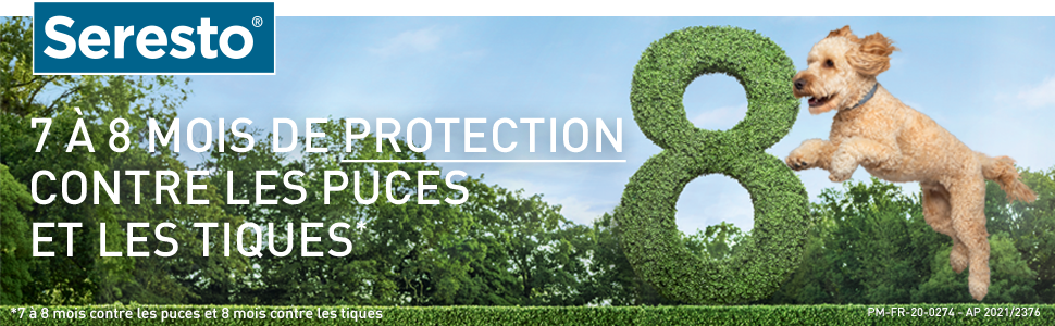 seresto chien