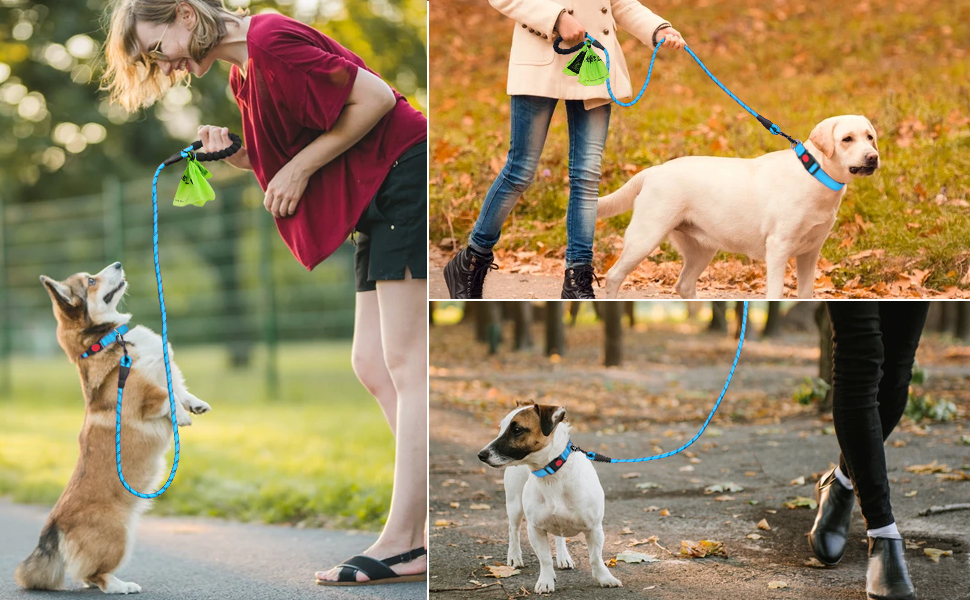 reflective dog collar